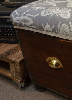 Upholstered vintage blanket box with typewriter